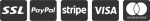 payment logo
